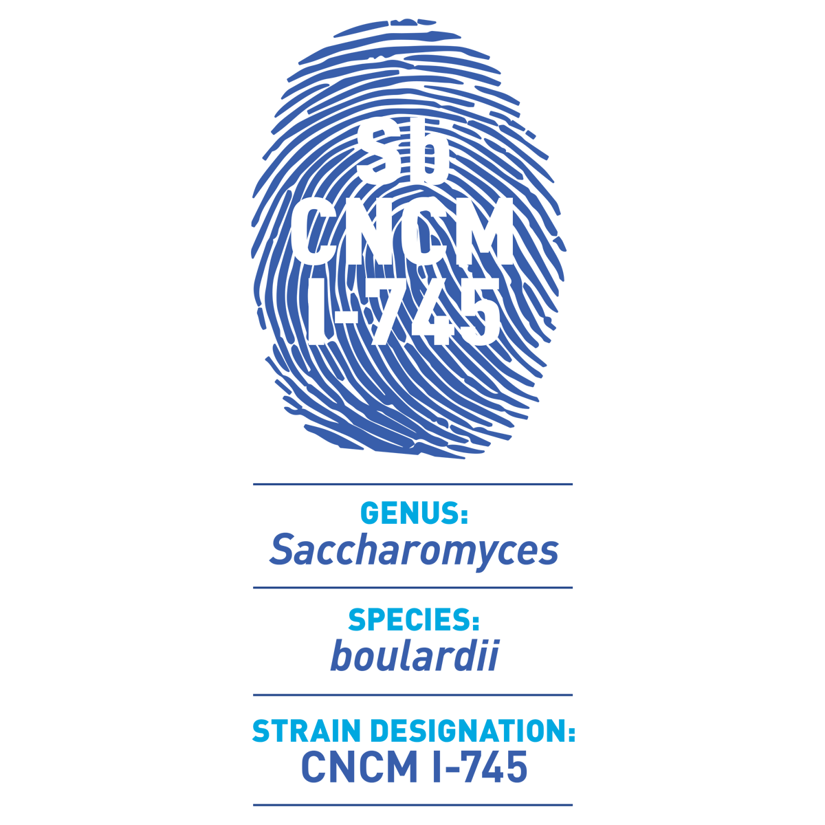 Banner thumbprint Sb CNCM I-745